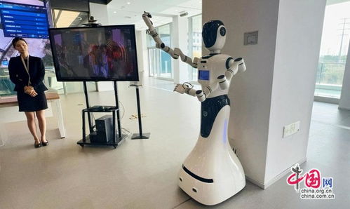 中外媒體浙江行 沉浸式見證中國數(shù)智發(fā)展的浙江答卷