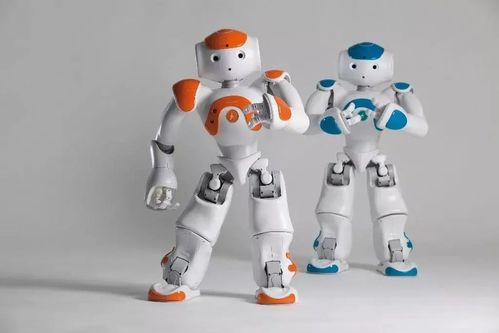 雙臂協(xié)作機器人 智能機器人管家的雛形與未來發(fā)展趨勢