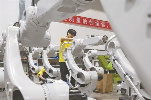 融合產(chǎn)業(yè)與科創(chuàng)，推動智能機器人產(chǎn)業(yè)集群發(fā)展
