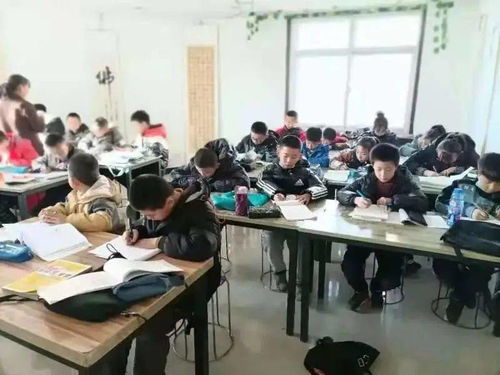 靖邊河?xùn)|翰藝書法培訓(xùn)中心寒假招生啟動，早報(bào)享優(yōu)惠